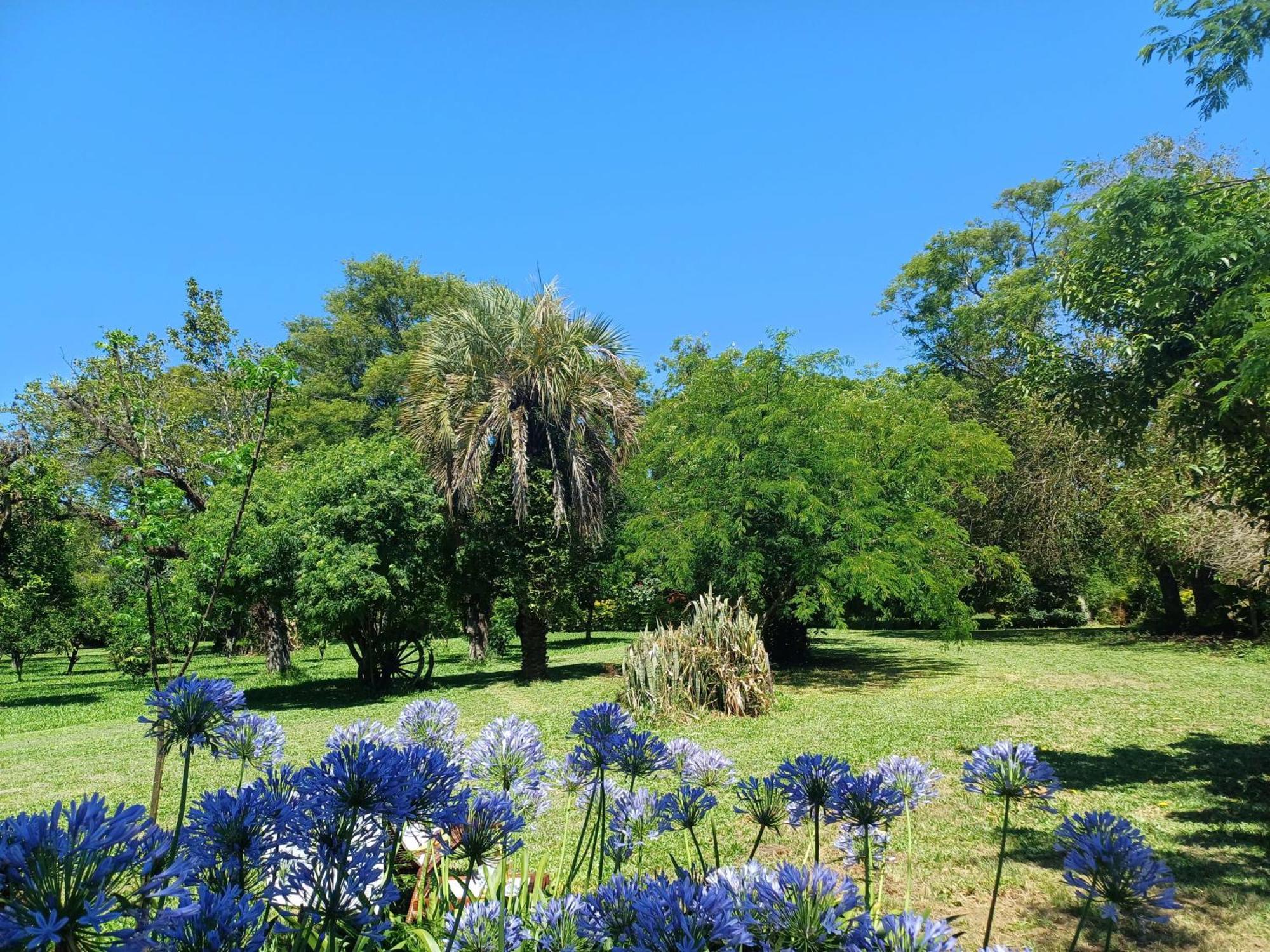 Chacara Rosa Cortiana Bed & Breakfast เซากาเบรียล ภายนอก รูปภาพ